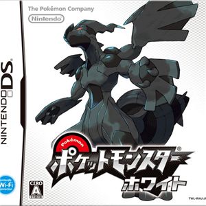 任天堂 DS ポケットモンスター ホワイト + シークレットソフト3本 + アクセセット セット