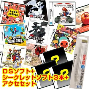 任天堂 DS 大神伝 〜小さき太陽〜 + シークレットソフト3本 + アクセセット セット