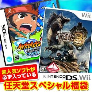 任天堂スペシャル福袋 Wii モンハントライ + DS イナズマイレブン2 〜脅威の侵略者〜 ブリザード + 人気ソフト3本