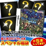 ニンテンドーDS ブルードラゴン異界の巨獣 + 他DSソフト4本 計5本セット