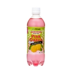 �ɓ��� �A���n���C�h�s���N�O�@�o 500ml�~48�{�Z�b�g