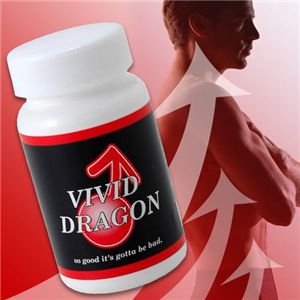 ビビットドラゴン