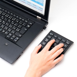 ミヨシ(MCO) 2.4GHz接続 ワイヤレステンキー シルバー TEN24G01/SL