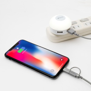 ミヨシ LEDライト搭載 USB2ポート USB-ACアダプタ 電球色 IPA-34LLD/WH