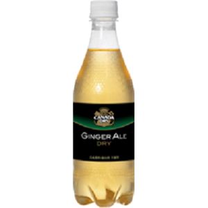 コカコーラ カナダドライ ジンジャエール 500ml 48本セット