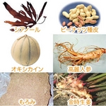 Love letter４０〜メンズサプリメント