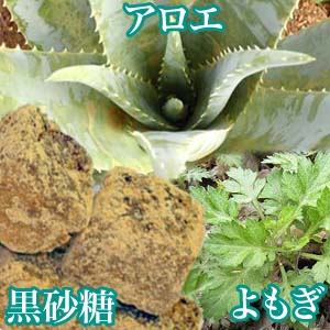 �����ێ��p�b�N �u�G�X�e�Ȗڊo�߁v