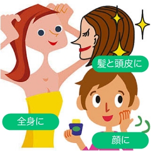 �����ێ��p�b�N �u�G�X�e�Ȗڊo�߁v