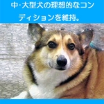 アーテミス・フレッシュミックス アダルト・ドッグ6.8kg 1才〜6才の中・大型成犬用ドライフード