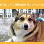 アーテミス・フレッシュミックス ウエイトマネージメントアダルトドッグ6.8kg体重コントロール犬用