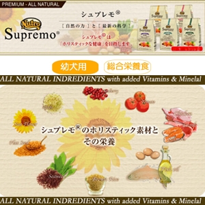 �j���[�g�� �V���v���� �p�s�[�Pkg �c���p�h���C�t�[�h