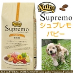 �j���[�g�� �V���v���� �p�s�[6kg �c���p�h���C�t�[�h