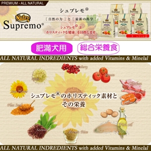 �j���[�g�� �V���v���� ���C�g2kg �얞���h���C�t�[�h