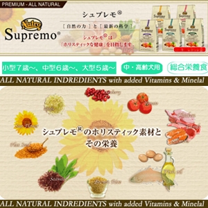 �j���[�g�� �V���v���� �V�j�A6kg ������h���C�t�[�h