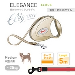 �t���L�V���[�h�@�G���K���X�@�S�[���h