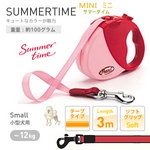 �t���L�V���[�h�@�T�}�[�^�C���~�j�@�s���N