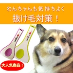 �j�o�r�@�V�F�b�h�o�X�^�[�@�~���[�@�l