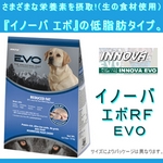 イノーバ エボRF ドッグフード 6kg