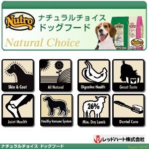 �i�`�������`���C�X ����&���C�X���� 1kg �����p�h���C�t�[�h