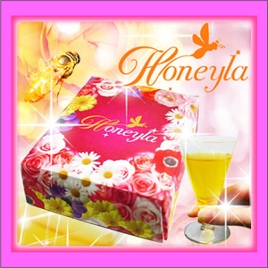 �_�C�G�b�g�����T�v�� �n�j�[��