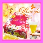 �_�C�G�b�g�����T�v�� �n�j�[��