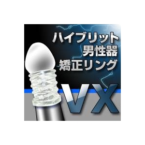 ﶺ󥰡 VX(å)