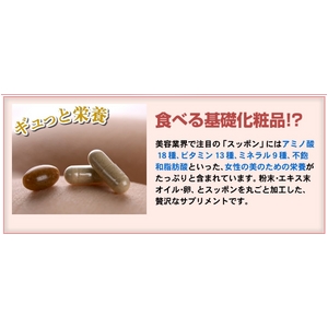 すっぽん美人