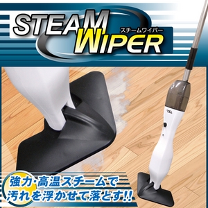 �X�`�[�����C�p�[