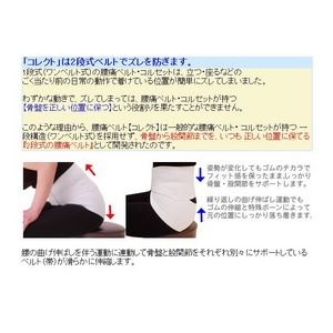 腰痛ベルト　コレクト　メッシュタイプ　Ｌ