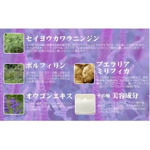 プエルラ