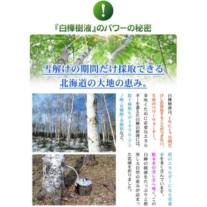 白樺の温泉乳液 送料無料5本セット