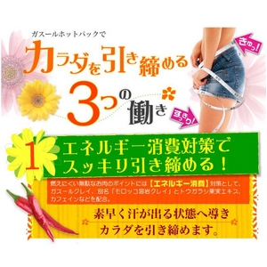 ガスール　ホットパック