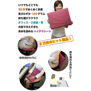電気のいらないぬくぬくレッグマット (足のせレギュラータイプ)2枚セット ベージュ
