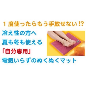 電気のいらないぬくぬくレッグマット (足のせレギュラータイプ)2枚セット ベージュ