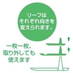 ラルカ リーフ オレンジ