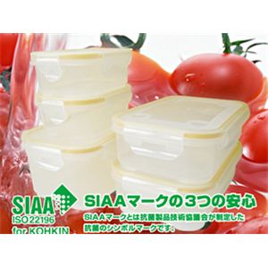 ナノシルバーNEO 抗菌密閉容器 5点セット