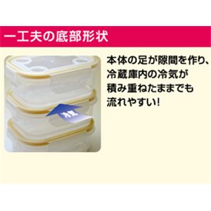 ナノシルバーNEO 抗菌密閉容器 5点セット