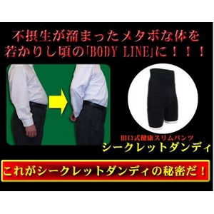 田口式健康スリムパンツ 【シークレットダンディ　Ｌサイズ】