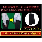 田口式健康スリムパンツ 【シークレットダンディ　Ｌサイズ】