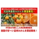 完全無農薬みかん 20kg