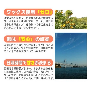 完全無農薬みかん 30kg