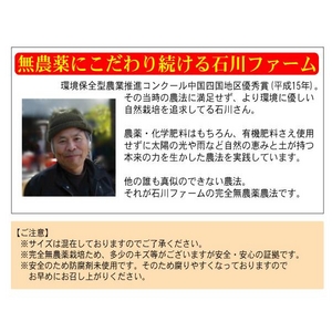 完全無農薬みかん 30kg