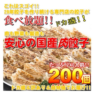 【ワケあり】安心の国産餃子200個！！40人前！！