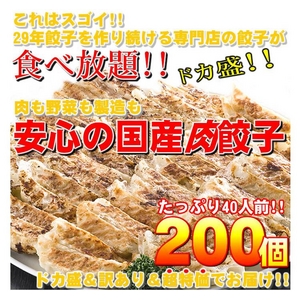 【ワケあり】安心の国産餃子200個!!40人前!!