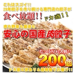 29年餃子を作り続ける専門店の安心の国産餃子200個!!40人前!!