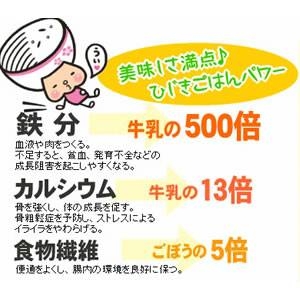 テレビ雑誌で話題★『ひじきごはん』