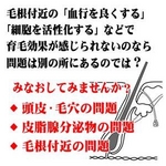 育毛剤 ビブル 120ml
