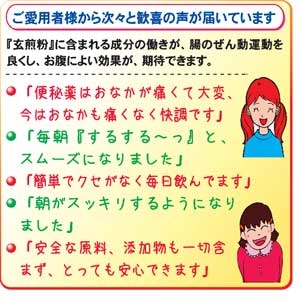 【2袋セット】おなか「すっきり」・岩手の安心・玄米使用『玄米まるごと玄煎粉』