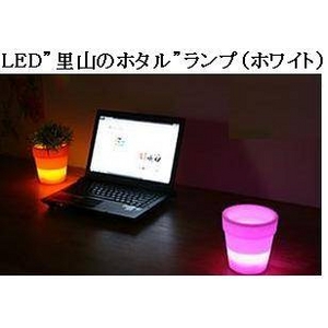 LED