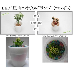 LED”里山のホタル”ランプ （ホワイト）